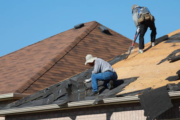 Best Chimney Flashing Repair  in Taylor, TX